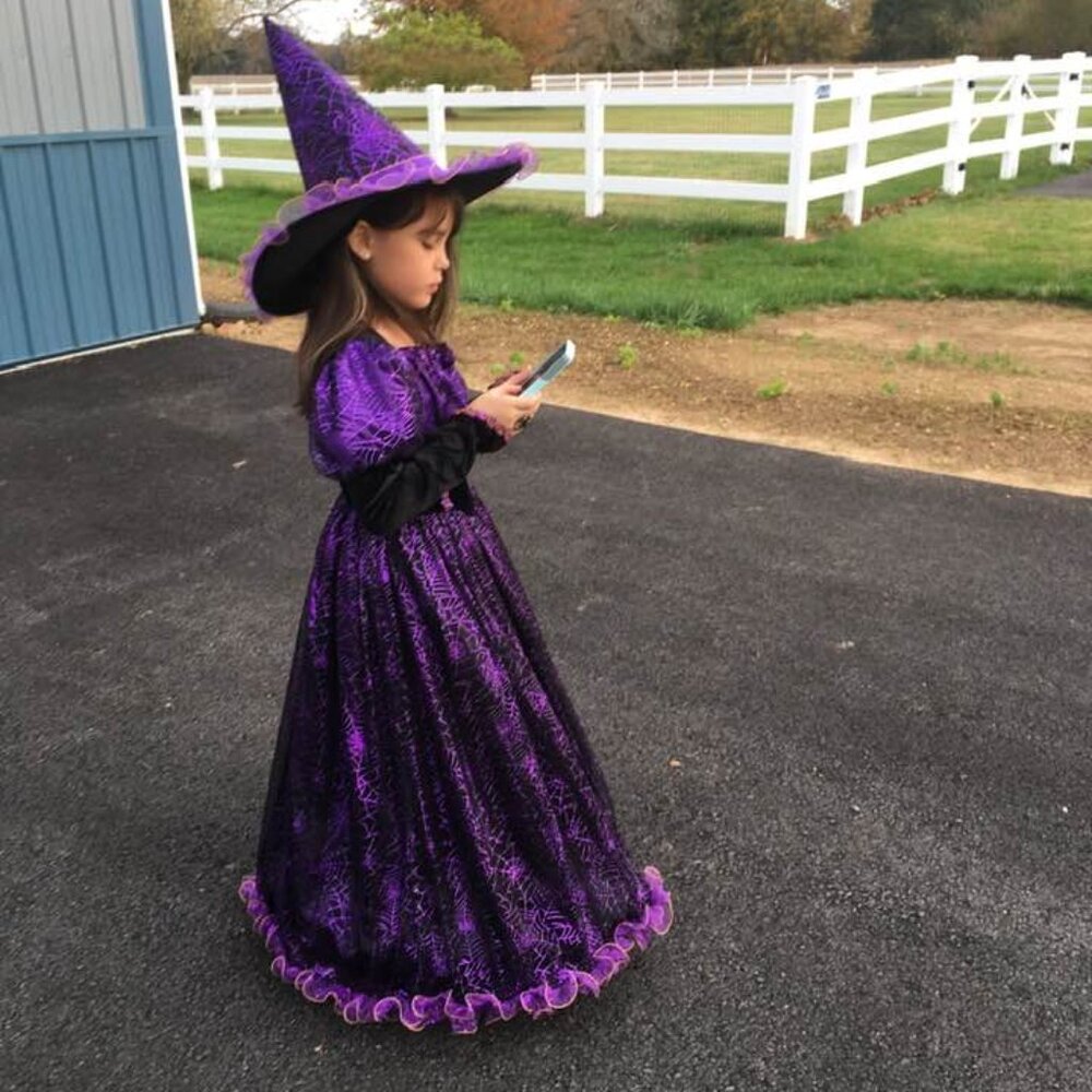 Chasing Fireflies Hallows Eve Spider Witch Purple Black Velvet Halloween Costume - Picture 5 of 16